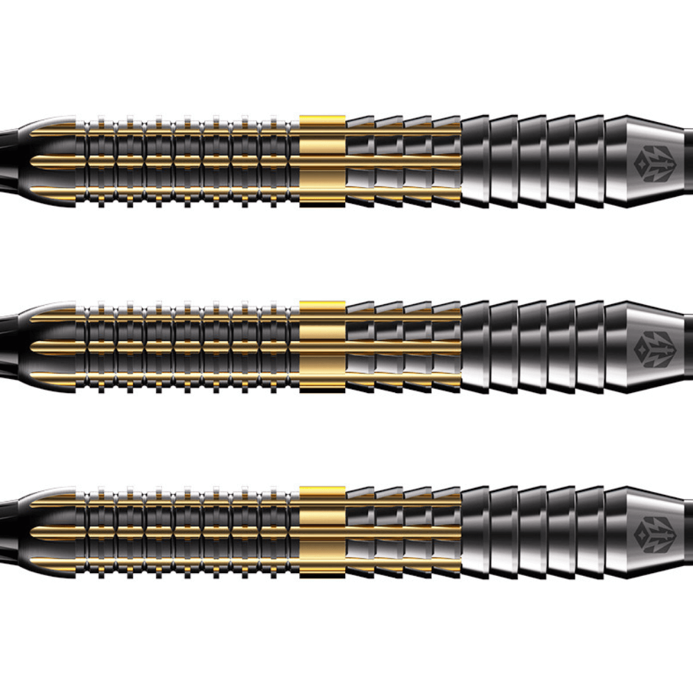 Caliburn Combo C2 Softdarts Detail