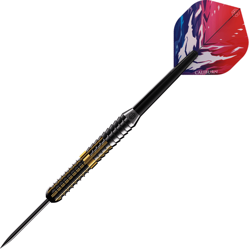 Caliburn Combo C2 Steeldarts