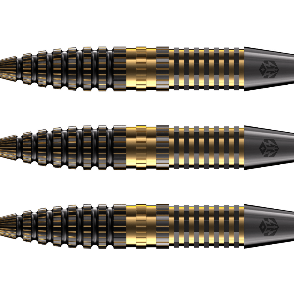 Caliburn Combo C3 Steeldarts Detail