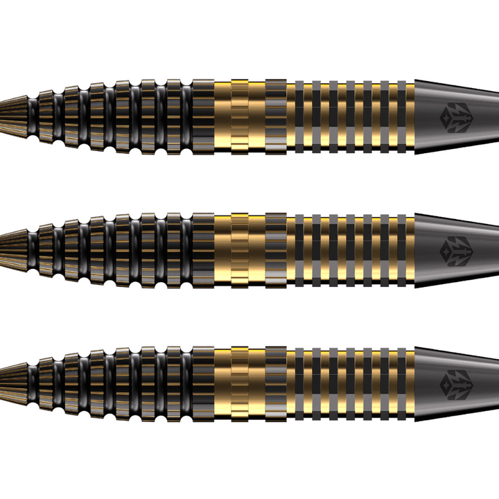 Caliburn Combo C3 Steeldarts Detail