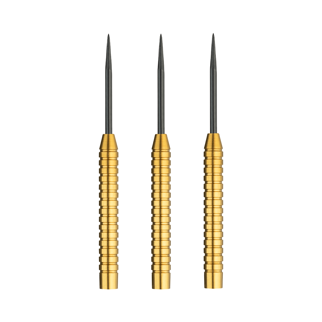 TMX S100 NO.2 GD Steeltip Long Detail