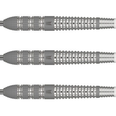 Target Barney 25 Swiss Point Steeldarts Detail