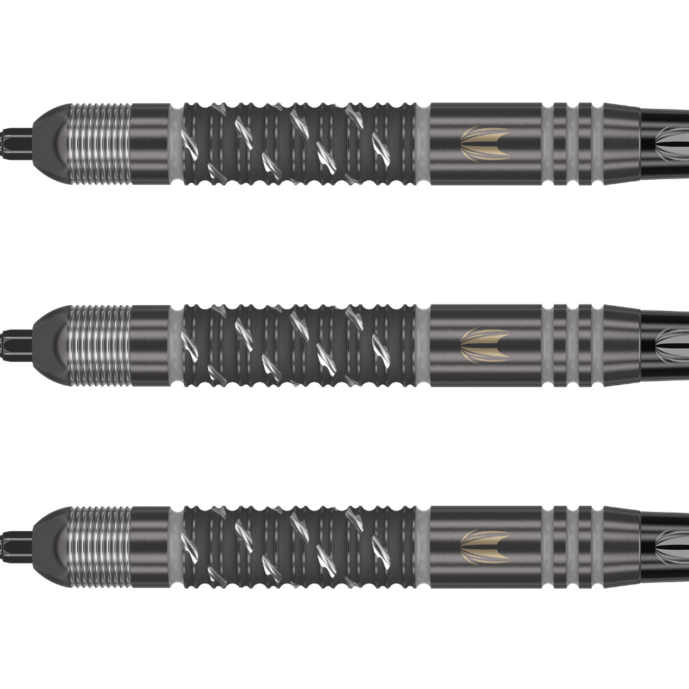 Target Dimitri van den Bergh x Echo Swiss Point Steeldarts Detail