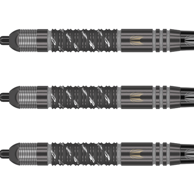 Target Dimitri van den Bergh x Echo Swiss Point Steeldarts Detail