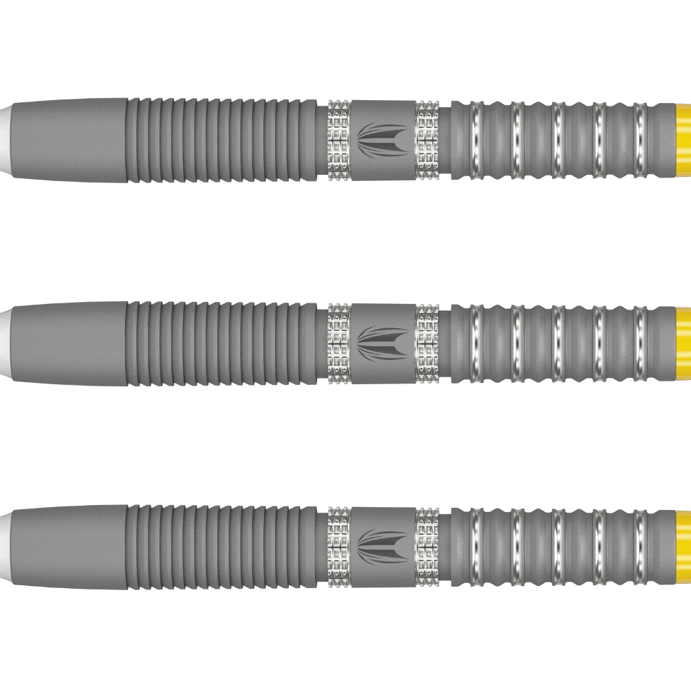 Target Gabriel Clemens G2 Softdarts Detail