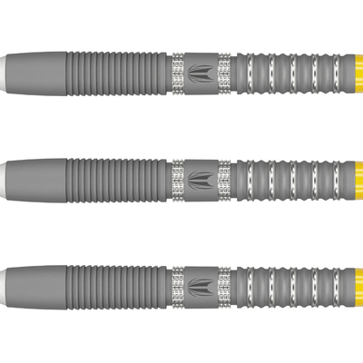 Target Gabriel Clemens G2 Softdarts Detail