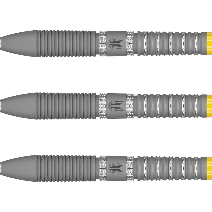  Target Gabriel Clemens G2 Swiss Point Steeldarts Detail
