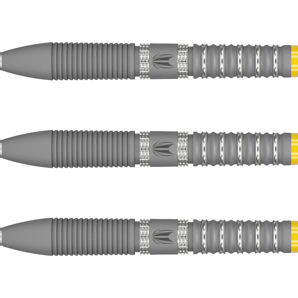  Target Gabriel Clemens G2 Swiss Point Steeldarts Detail