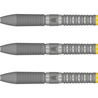  Target Gabriel Clemens G2 Swiss Point Steeldarts Detail