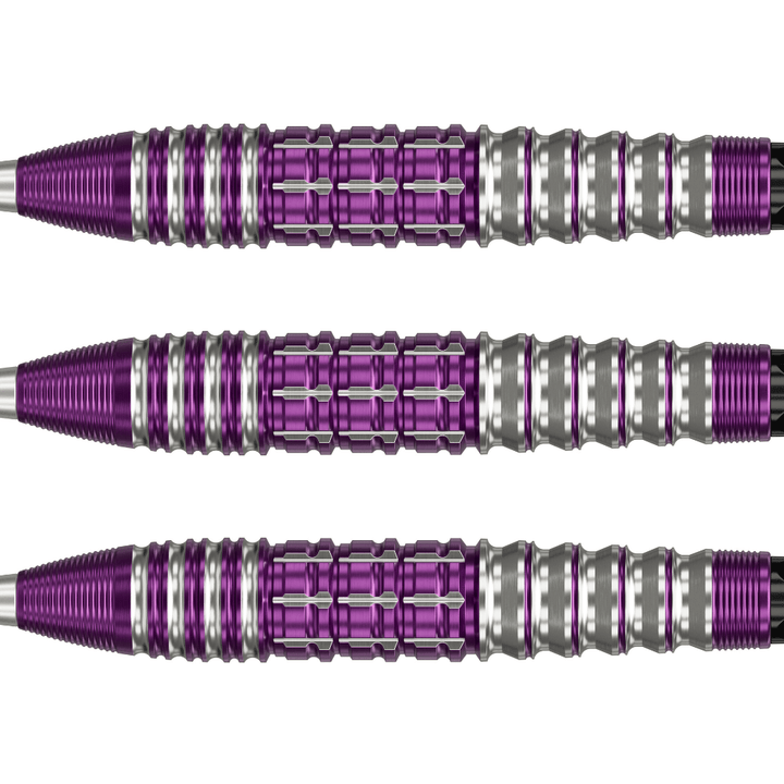 Target Japan Tung Suk Zenith Swiss Point Steeldarts Detail