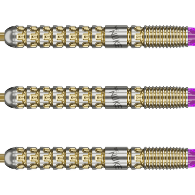 Target Luke Littler G1 Prodigy Swiss Point Steeldarts Detail