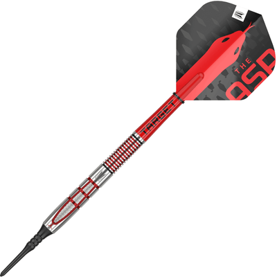 Target Nathan Aspinall G2 Softdarts