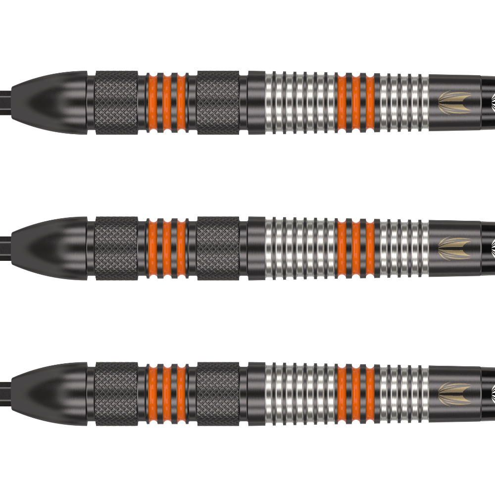 Target Raymond van Barneveld Black 80 Swiss Point Steeldarts Detail