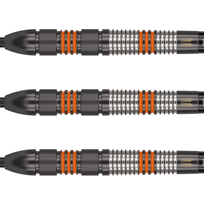 Target Raymond van Barneveld Black 80 Swiss Point Steeldarts Detail