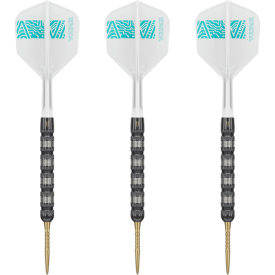 Target Rob Cross 95K Swiss Point Steeldarts Set