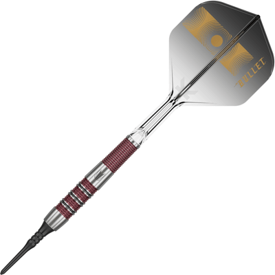 Target Stephen Bunting 95k Softdarts