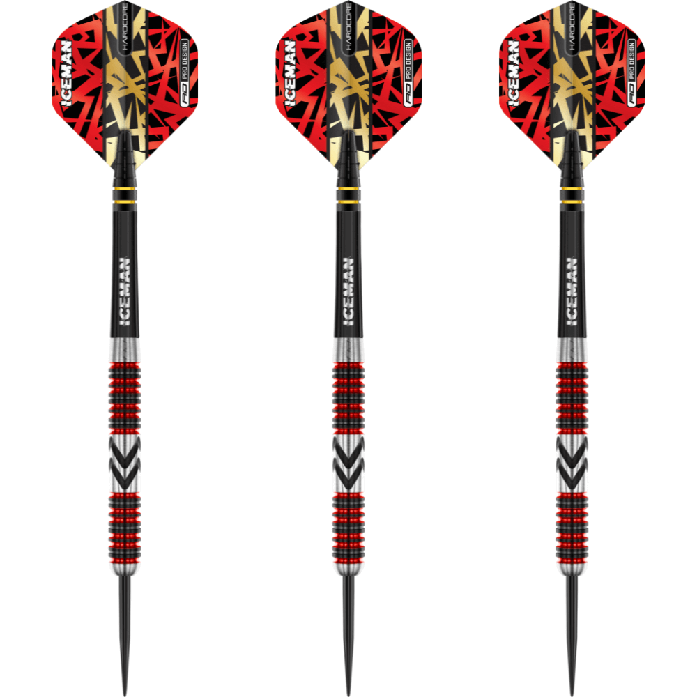 Red Dragon Gerwyn Price Firebird Steeldarts Set