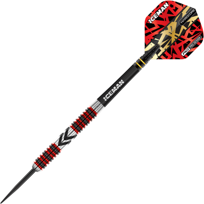 Red Dragon Gerwyn Price Firebird Steeldarts