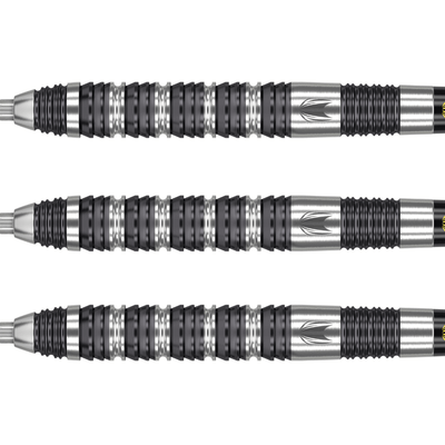 Target Dimitri van den Bergh 80% Swiss Point Steeldarts Detail 