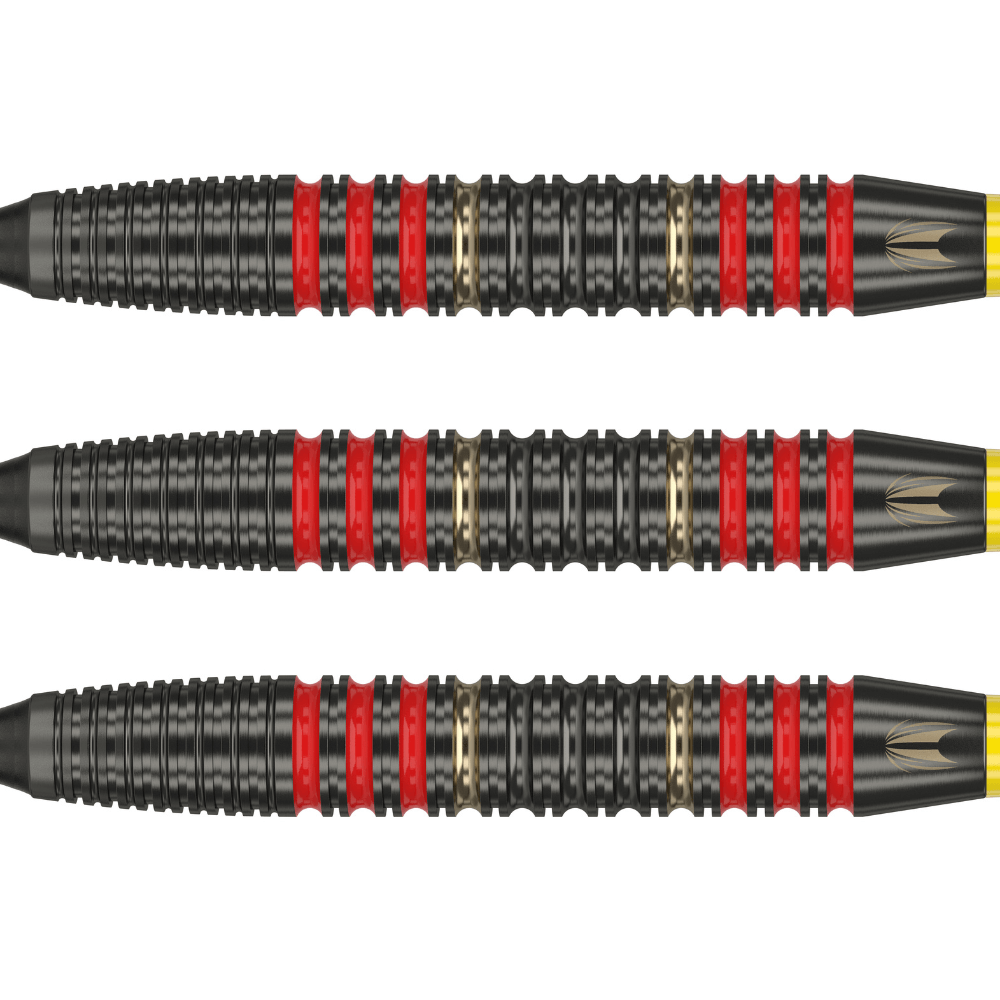 Target Dimitri van den Bergh Brass Softdarts Detail 