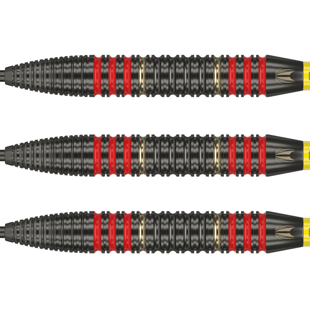 Target Dimitri van den Bergh Brass Steeldarts Detail