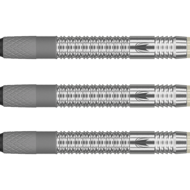 Target Dimitri van den Bergh G1 Softdarts Detail
