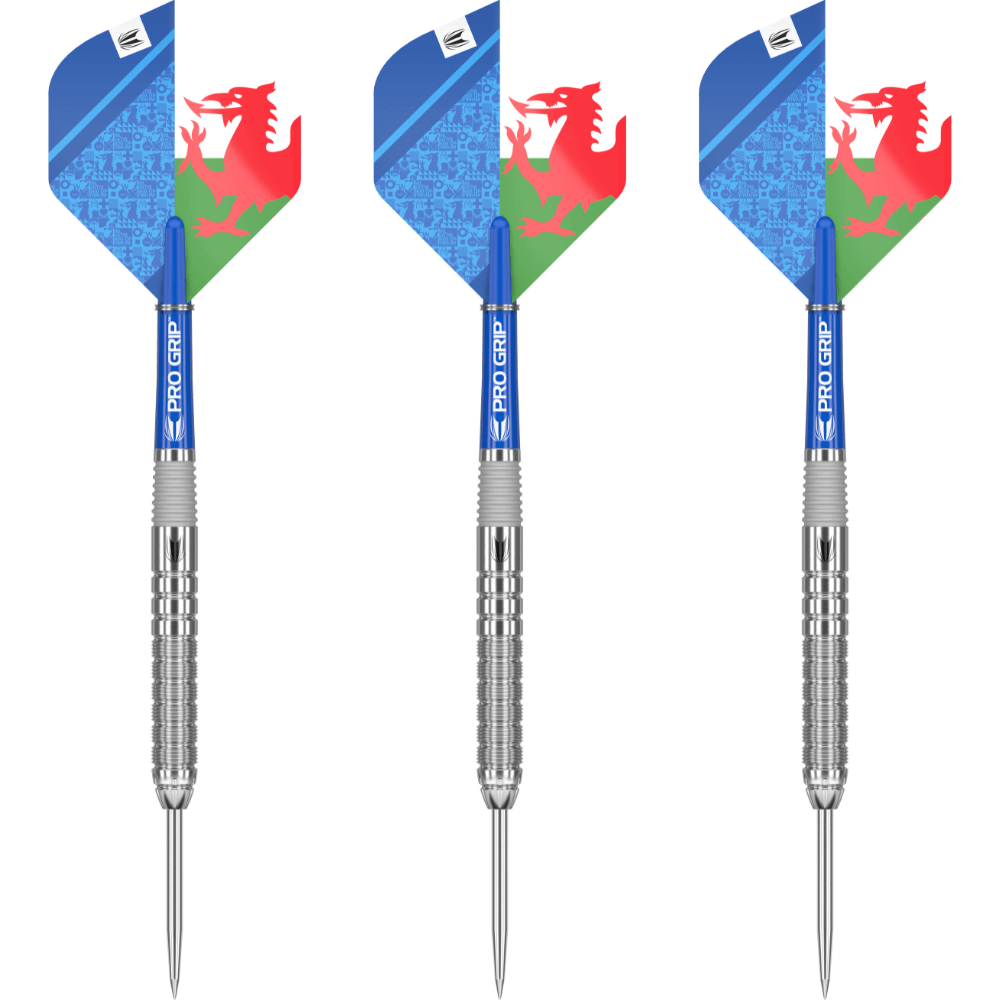 Target Lewy Williams G1 Steeldarts Set