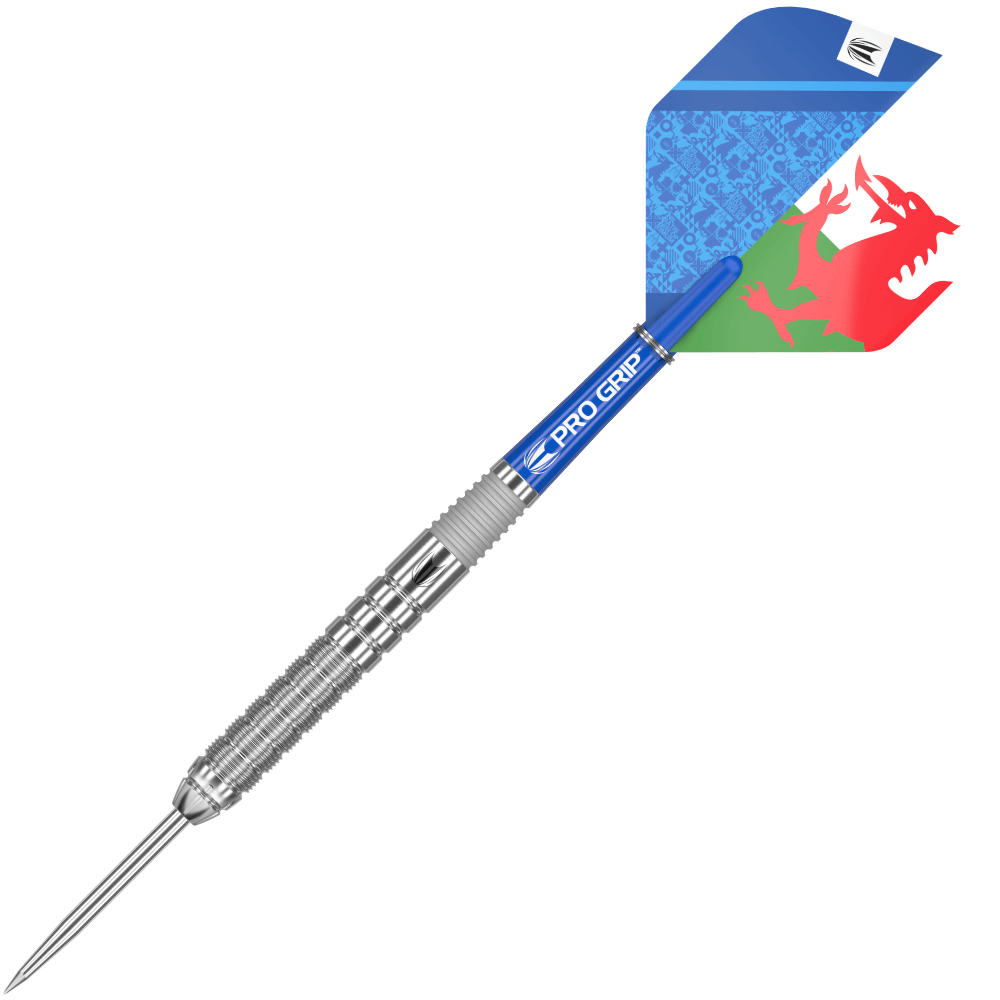 Target Lewy Williams G1 Steeldarts