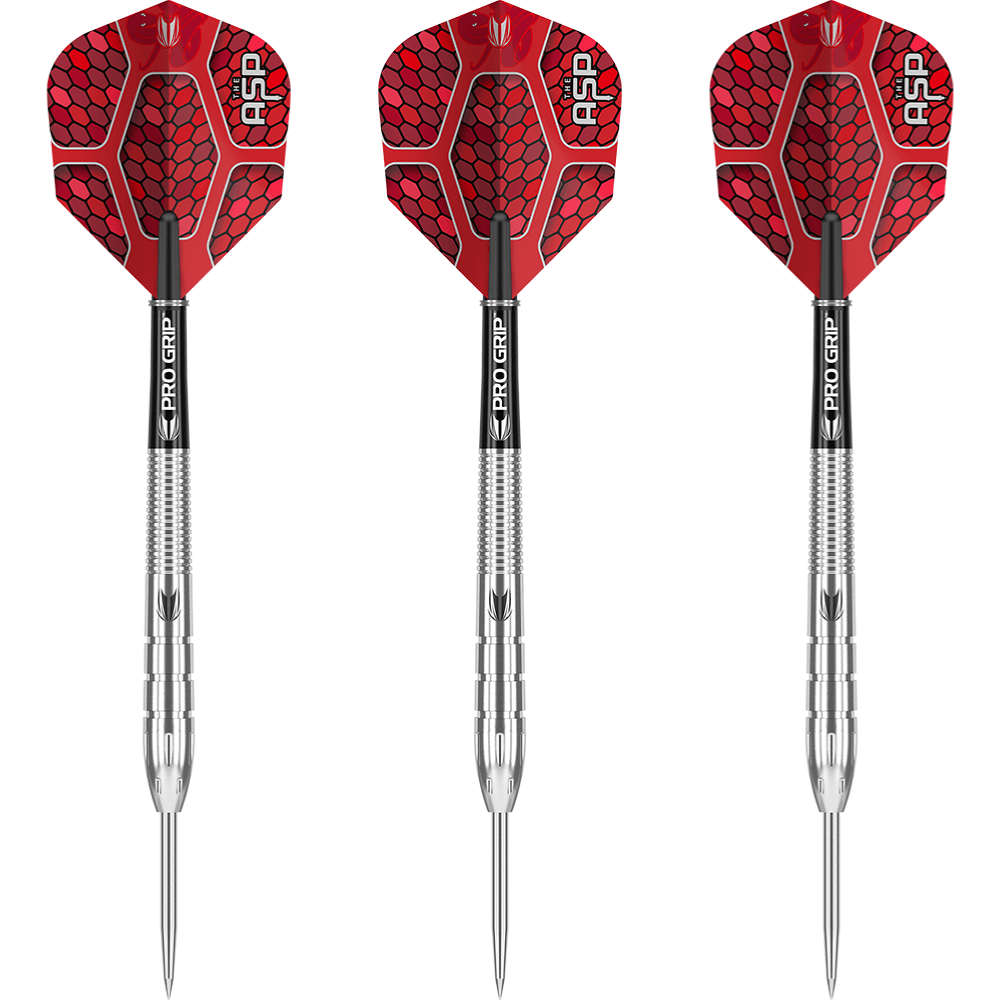 Target Nathan Aspinall Steeldarts Set