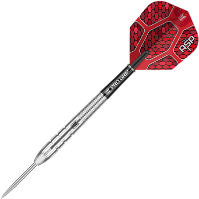 Target Nathan Aspinall Steeldarts