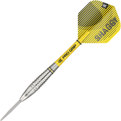 Target Scott Williams Swiss Point Steeldarts