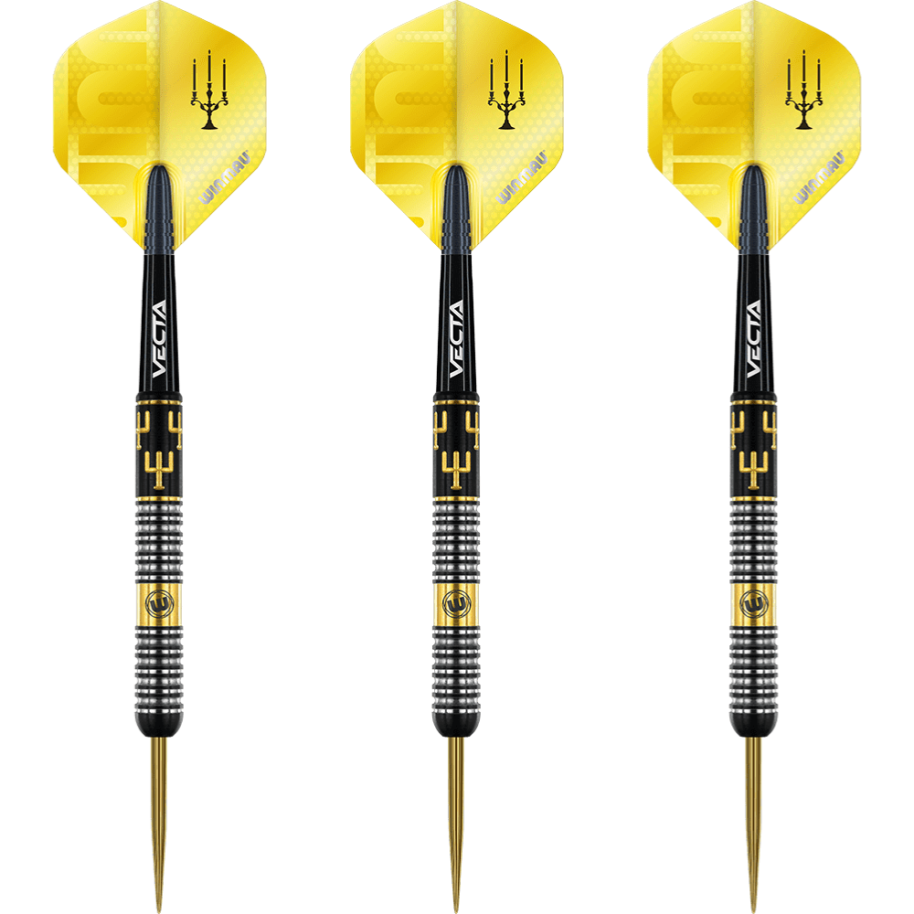 Winmau Bobby George Steeldarts Set