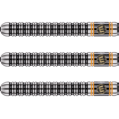 Winmau Danny Noppert Steeldarts Detail 