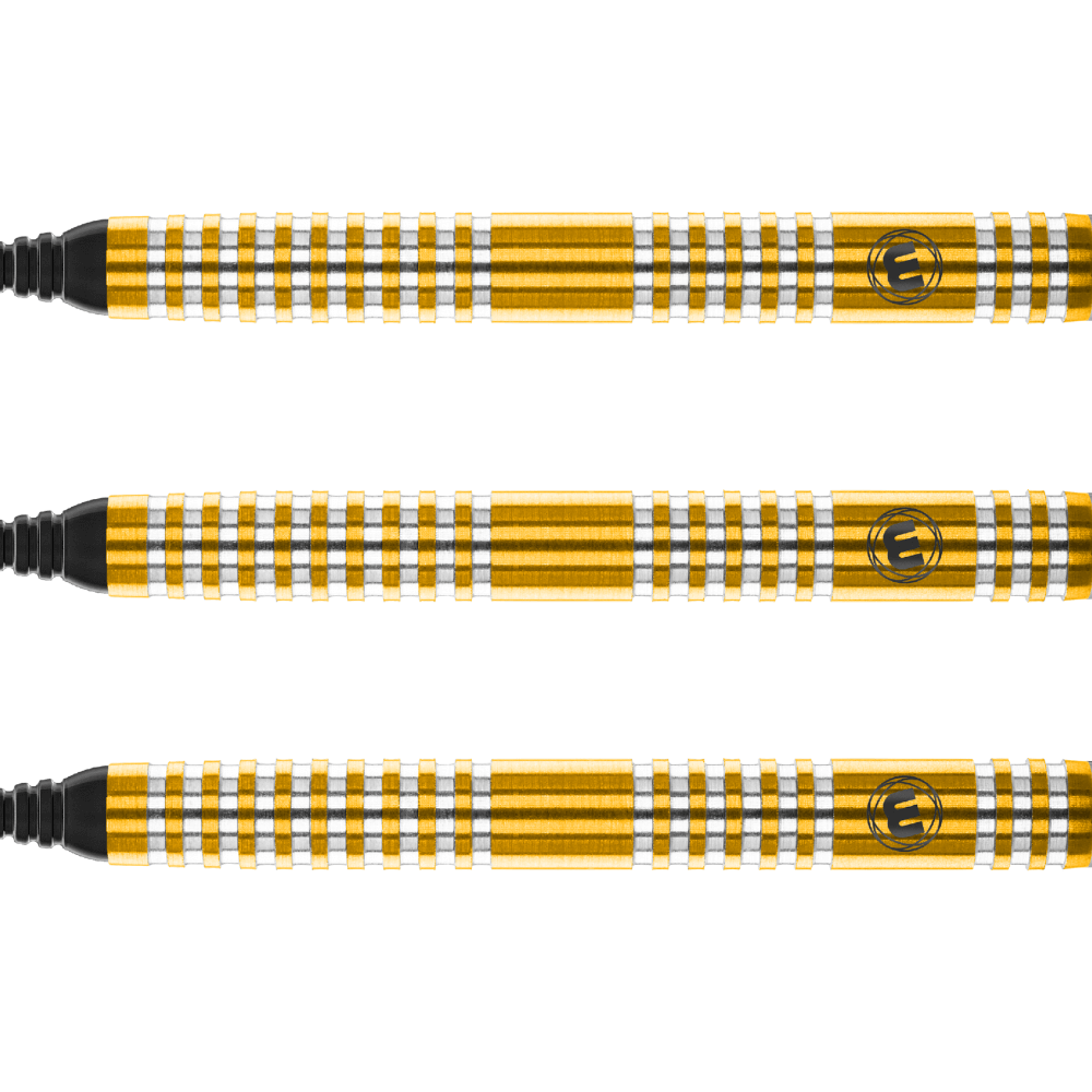 Winmau Daryl Gurney Softdarts Detail