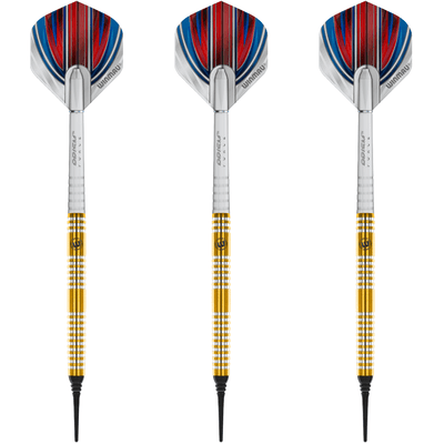 Winmau Daryl Gurney Softdarts Set