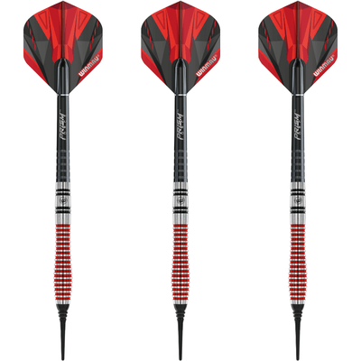 Winmau Dennis Priestley SE Softdarts Set 