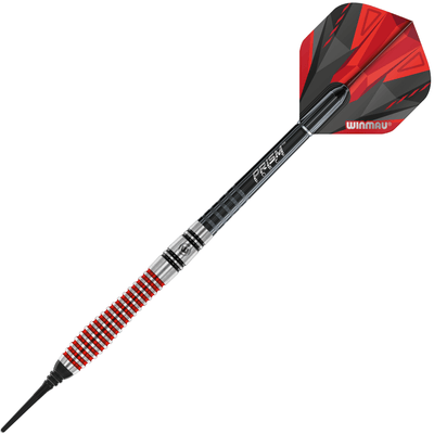 Winmau Dennis Priestley SE Softdarts