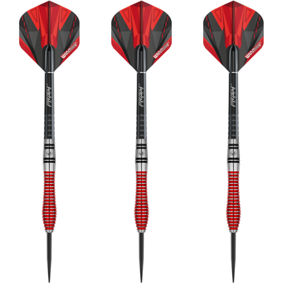 Winmau Dennis Priestley SE Steeldarts Set 