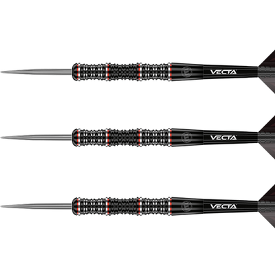 Winmau Mervyn King Special Edition Steeldarts Detail