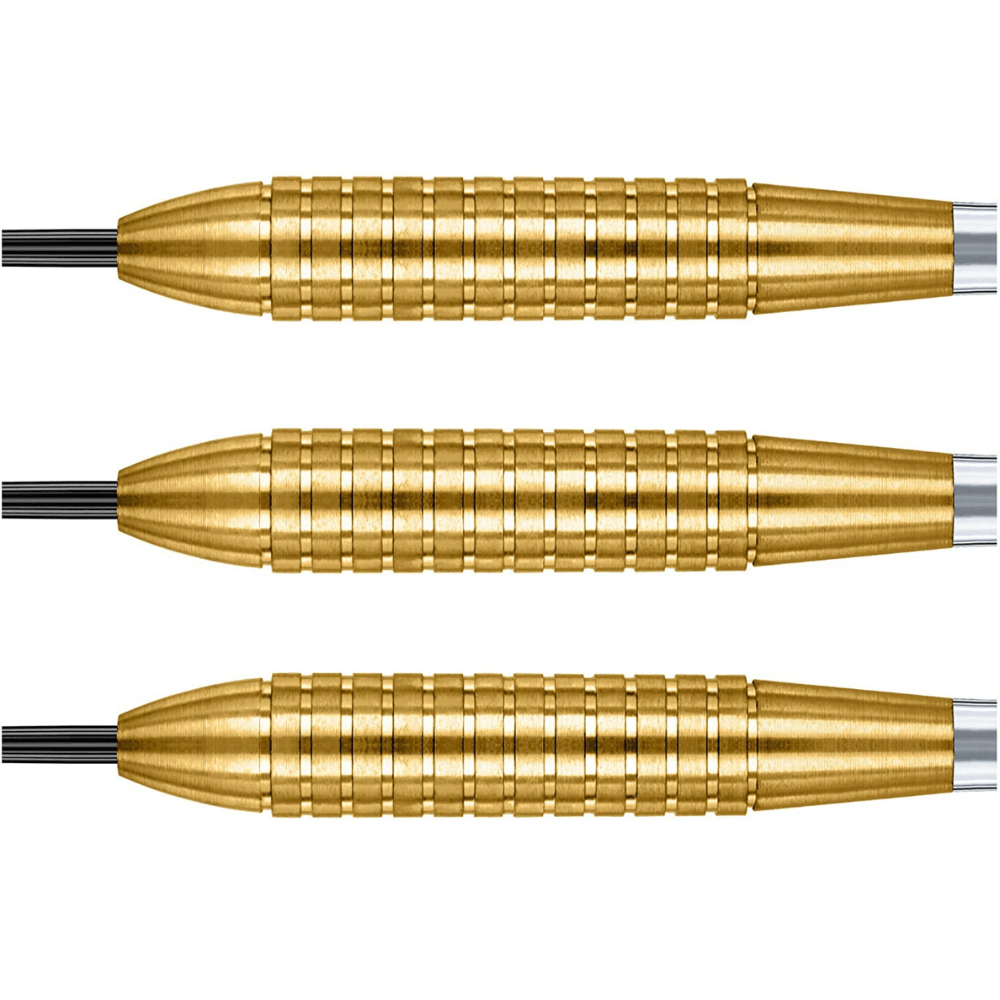 Winmau Neutron 09 Steeldarts Detail