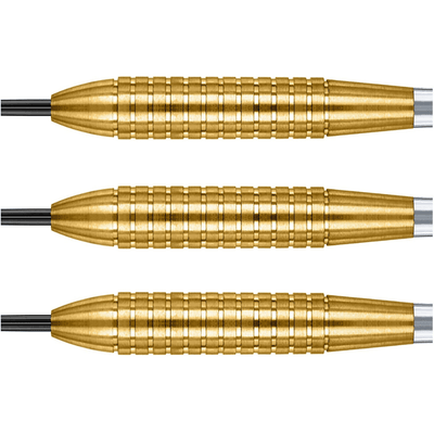 Winmau Neutron 09 Steeldarts Detail